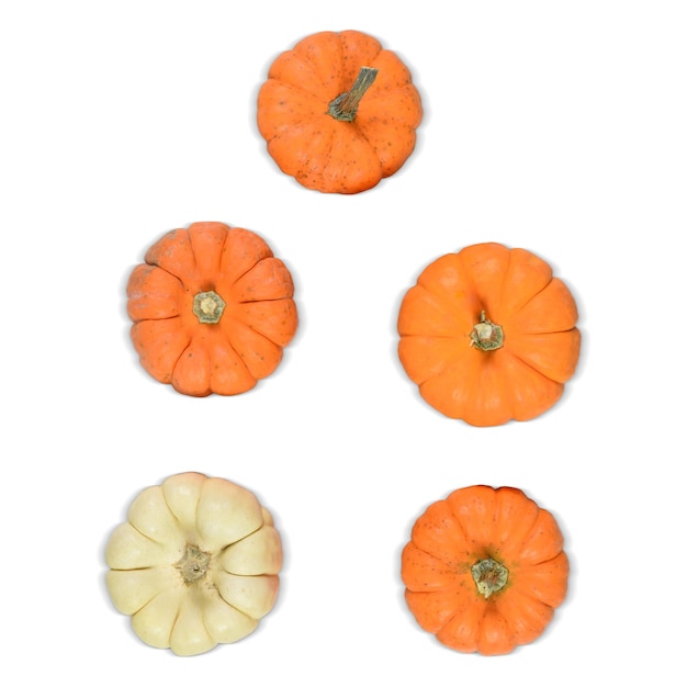 Top down view of white and orange pumpkins isolated on a white background There is a clipping path around the pumpkins