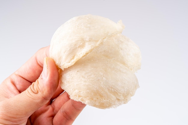 Top Grade edible bird nest shoot on white background with negative space