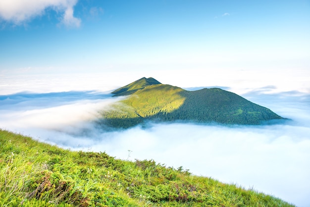 Top of green mountain in the clouds