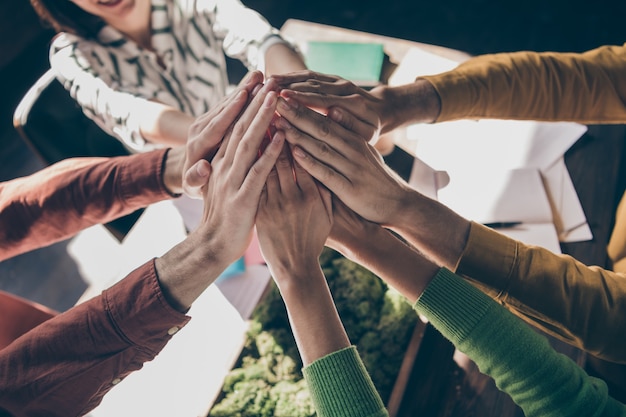 Top above high angle view cropped  professional people entrepreneurs partners have human resources teambuilding coaching put hands highfive