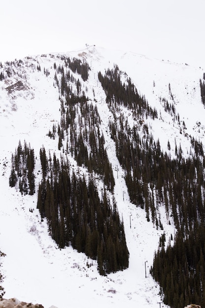 At the top of the Loveland Pass in the winter.