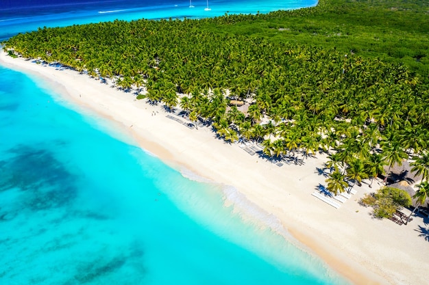 Top luchtfoto drone uitzicht op prachtig strand met turquoise zeewater en palmbomen. Saona-eiland, Dominicaanse Republiek. Paradijs tropisch eiland natuur achtergrond.