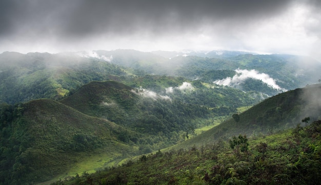 Foto sulla cima del picco di montagna in thailandia. foresta pluviale nella stagione invernale con catena montuosa,