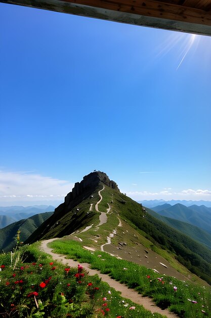 Top of the mountain view