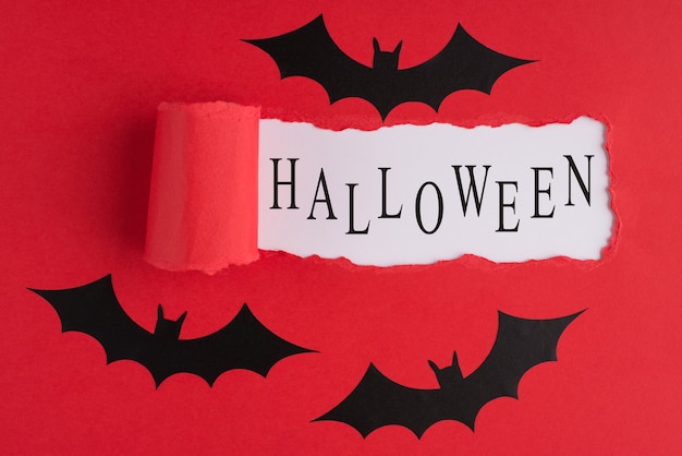 Top above overhead view close-up photo of torn red paper and bats over white background with copyspace