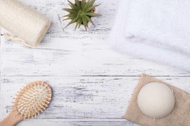 Top above overhead view photo of eco bath products and a succulent isolated on white wooden background