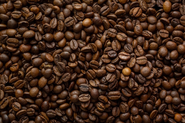 Top photo of coffee beans where the light falls on them laterally to highlight their texture and shadows