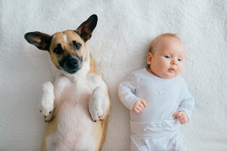 Photo top portrait of newborn baby lying with funny puppy on bed.