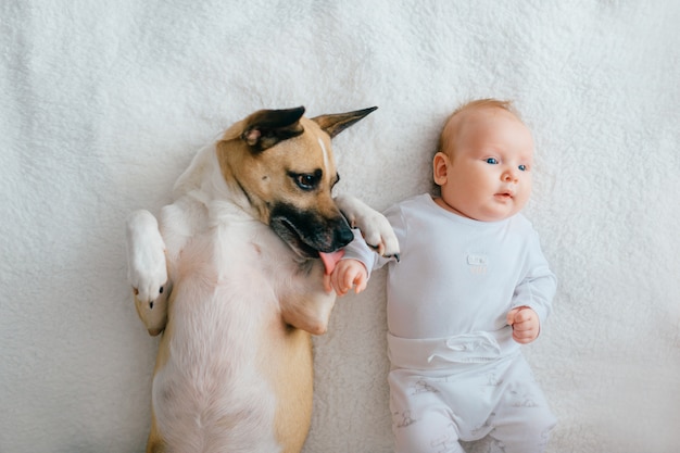 top portrait of newborn baby lying with funny puppy on bed.