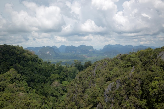 타이거 동굴 사원의 꼭대기 Wat Tham Suea Krabi 지역 태국 산 꼭대기에는 인기 있는 관광 명소인 큰 황금 불상이 있습니다