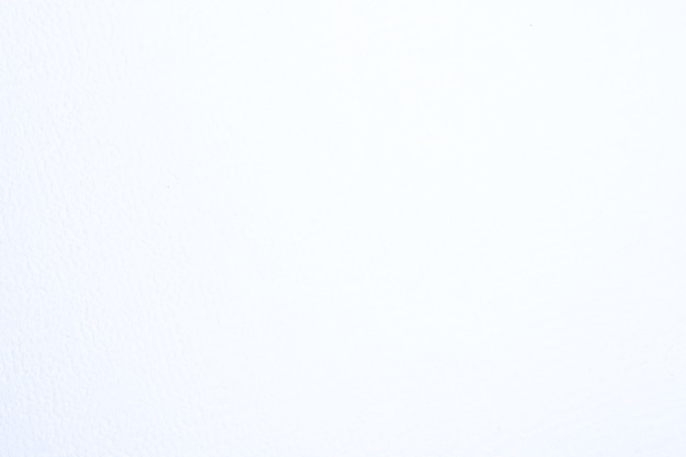 Plain White Background Blank White HD phone wallpaper  Pxfuel