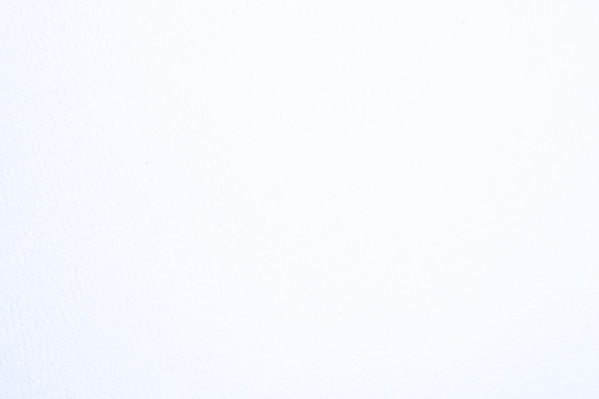 Top 32 Imagen A Plain White Background Vn