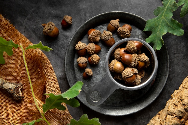 Photo top view acorns still life