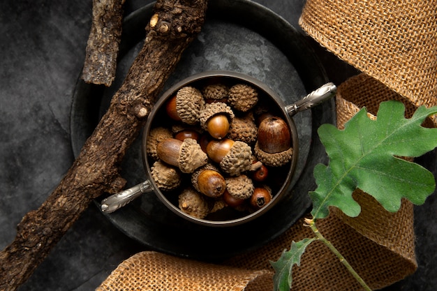 Top view acorns still life