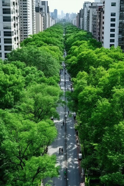 Foto vista superiore foto aerea da drone volante di un parco cittadino con sentiero pedonale e alberi della zona verde in