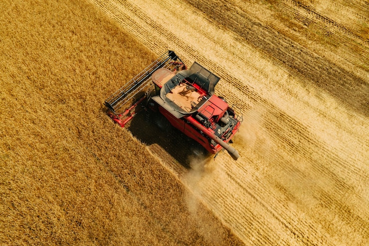 Photo top view aerial view of grain harvester gathering crop of wheat at summer time harvester harvests wh...