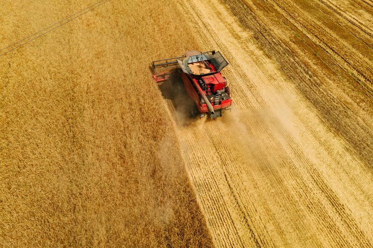 Photo top view aerial view of grain harvester gathering crop of wheat at summer time harvester harvests wh...