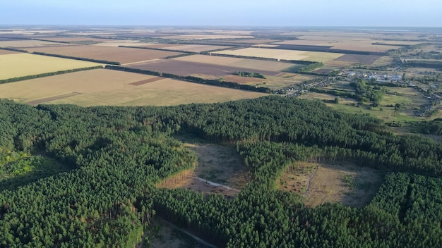 Top view of agricultural fields and trees