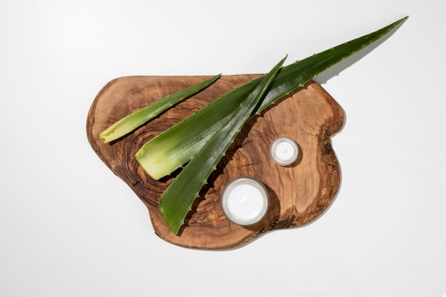 Top view of aloe vera beauty concept