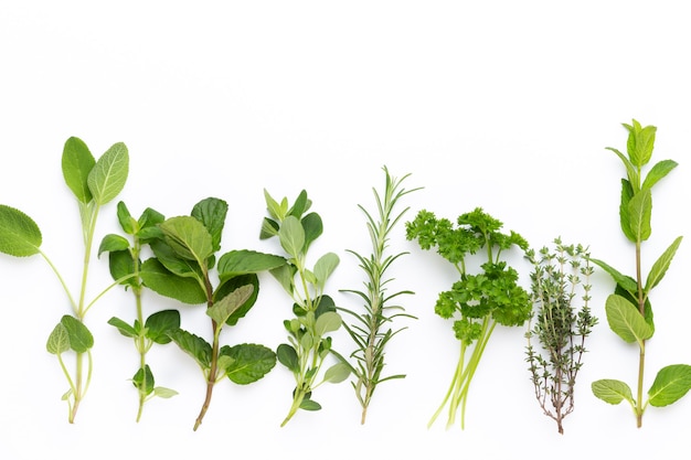 Top view of aromatic herbs