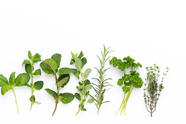 Photo top view of aromatic herbs