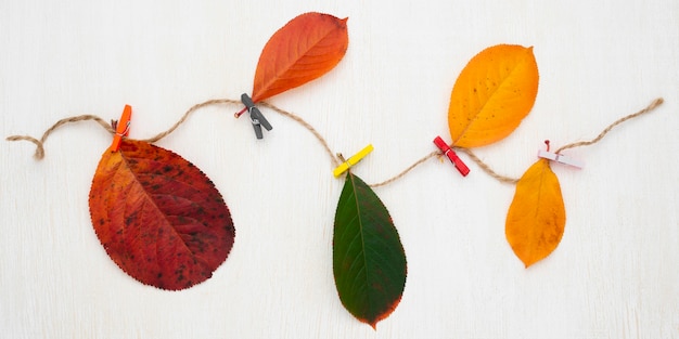 Top view of assortment of autumn leaves with string