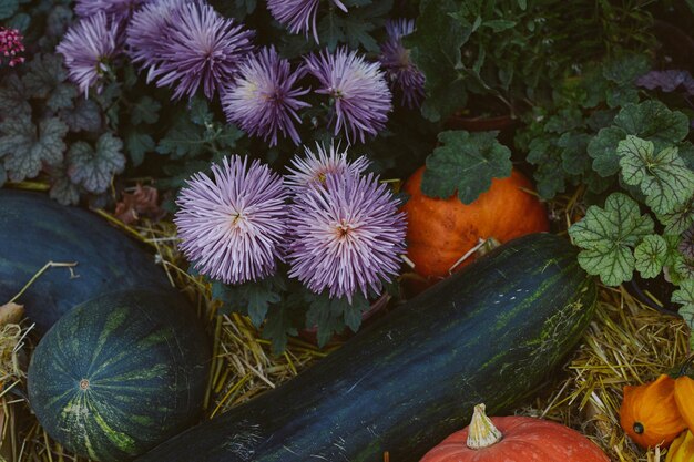 top view autumn background with autumn still life different types of pumpkins and zucchini