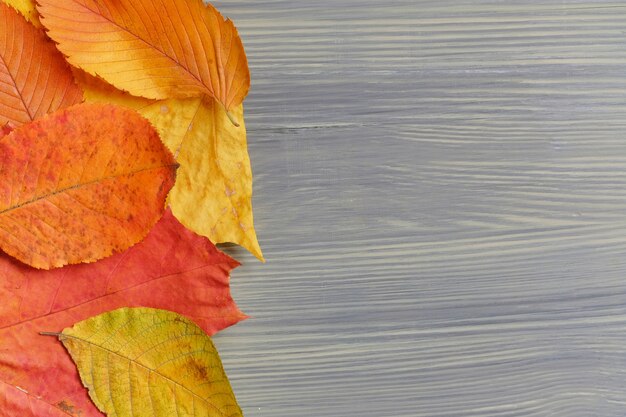 Photo top view autumn concept with wood background