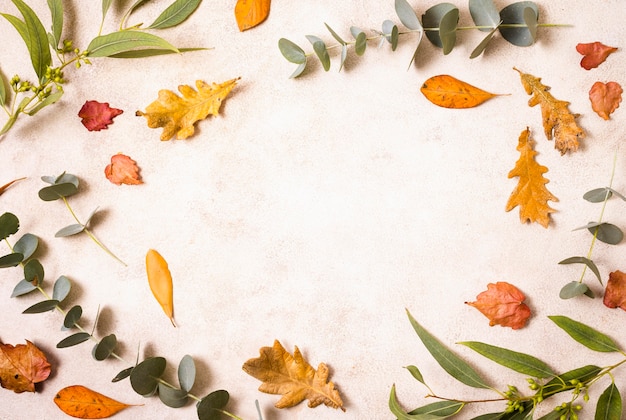 Photo top view of autumn leaves and vegetation