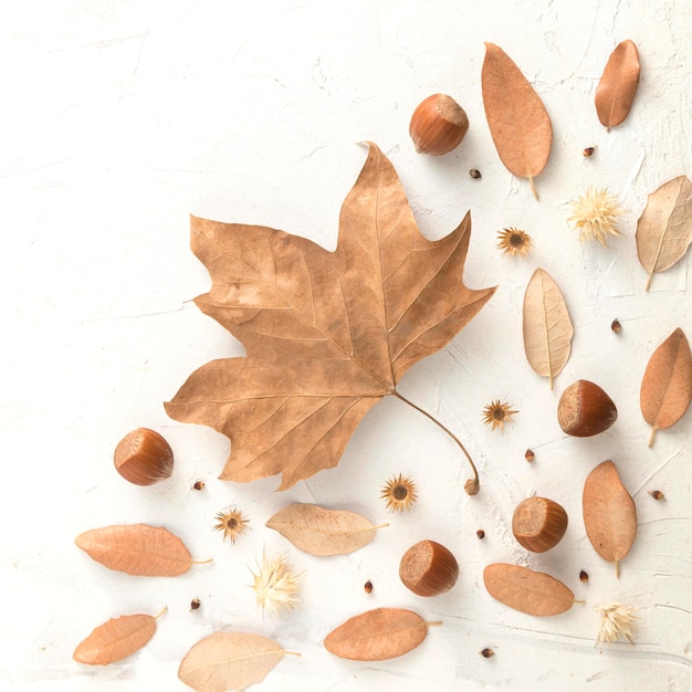Foto vista dall'alto di foglie di autunno con castagne e copia spazio