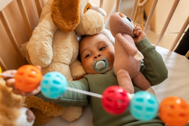 写真 ぬいぐるみを持つ上面図の赤ちゃん