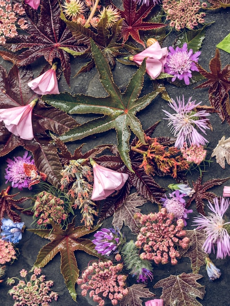 写真 灰色の表面に散在する開花の花と緑の葉の盛り合わせの明るいカラフルなセットの上面図の背景