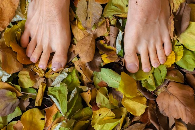 Top view of bare human foot on the autumn colorful leaves surface