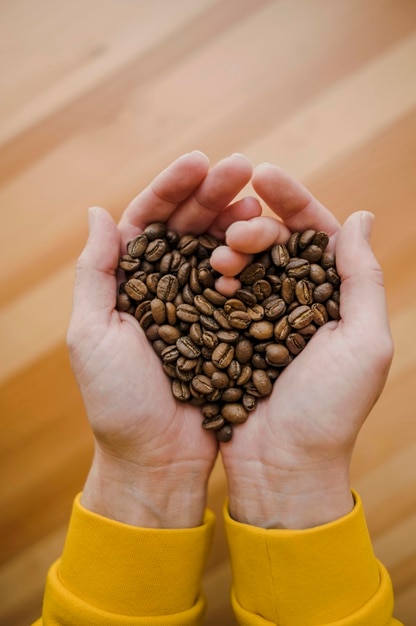 top view of barista holding coffee beans in heart-shaped hands