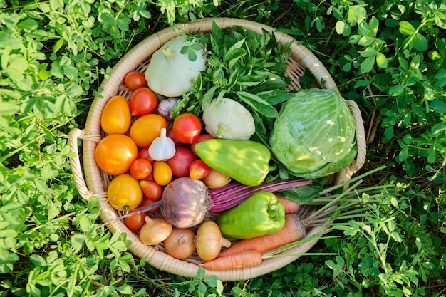多くの異なる新鮮な生の有機野菜が入ったバスケットの上面図ハーブ夏の自然菜園の背景有機農場からの野菜の収穫健康食品ガーデニング夏秋の季節