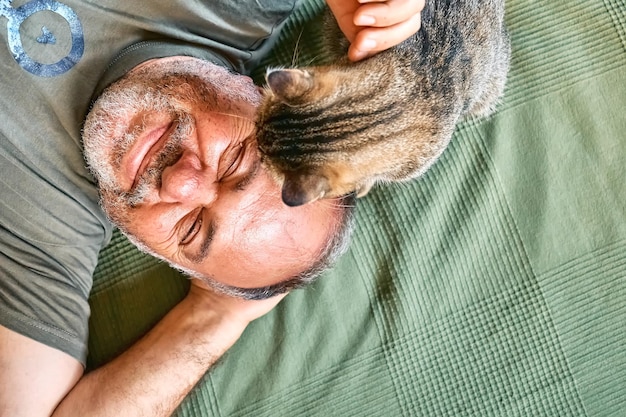 Photo top view of bearded middle-aged man lying on a bed and playing with his gray tabby cat