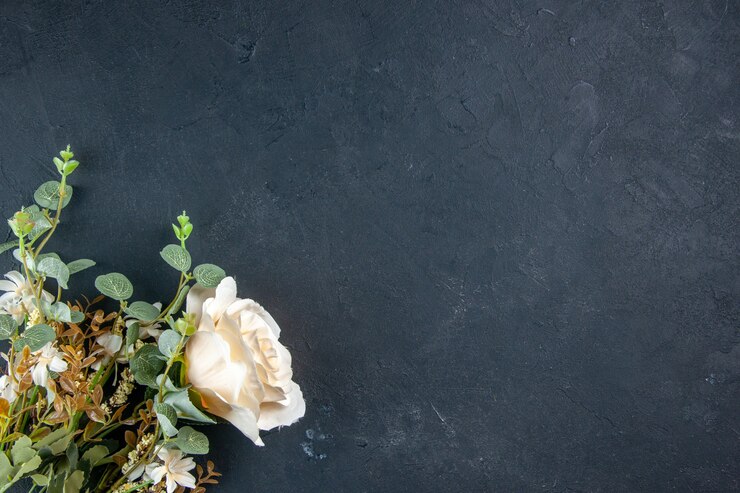 top view beautiful flowers on dark surface
