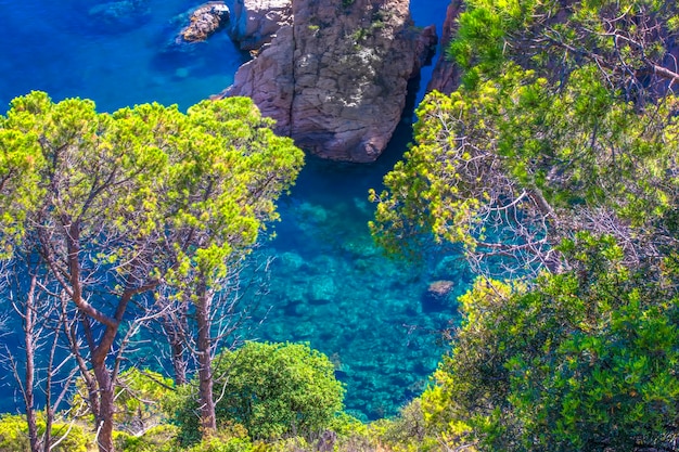 Top view of a beautiful lagoon with blue water and pine trees