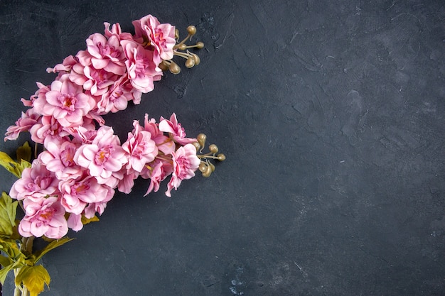 top view beautiful pink flowers on dark surface