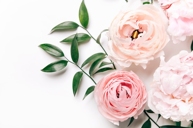 top view of beautiful pink flowers with green leaves on white background