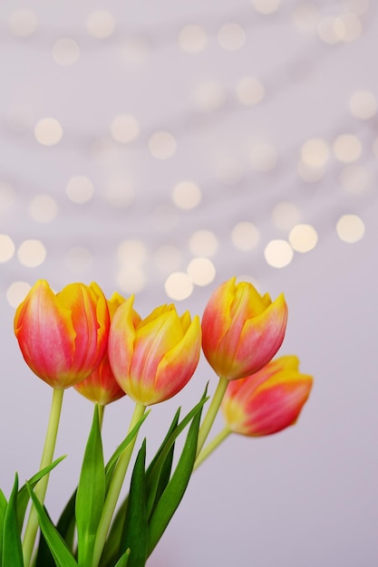 Vista dall'alto di bellissimi tulipani rosa e gialli su sfondo blu con bokeh. biglietto d'auguri. 8 marzo.