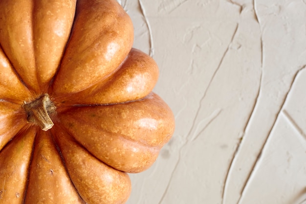 Top view of a big freshly picked pumpkin on the grey