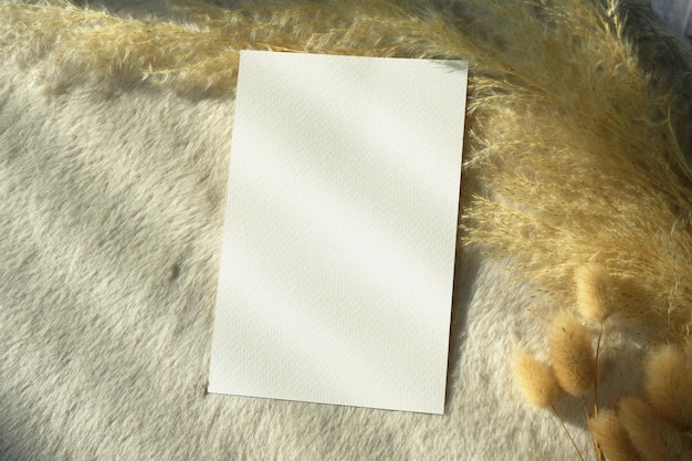 Top view blank card with clipping path