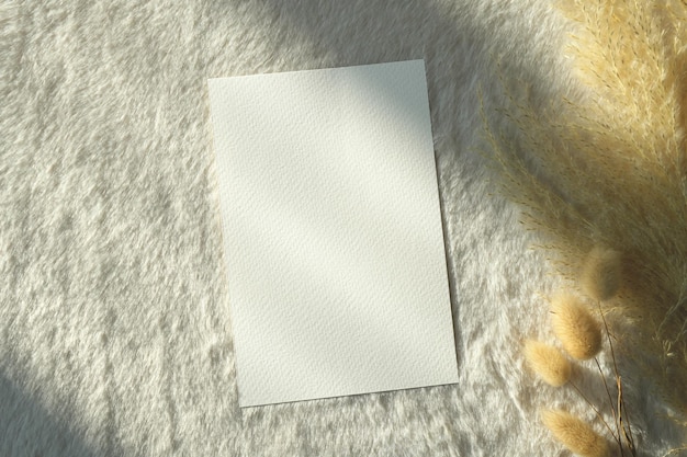 Top view blank card with clipping path