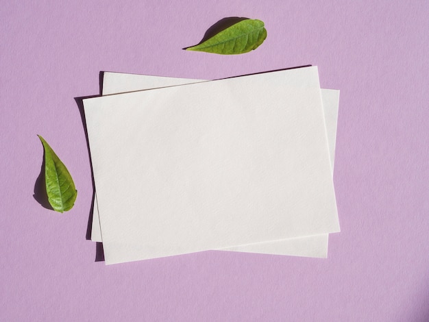 Photo top view blank papers with green leaves