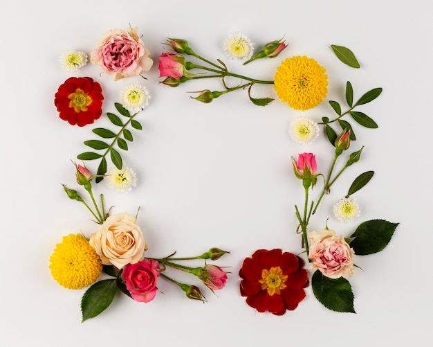 Foto collezione di fiori che sbocciano vista dall'alto