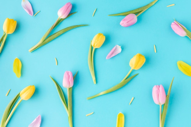 Top view blooming tulips