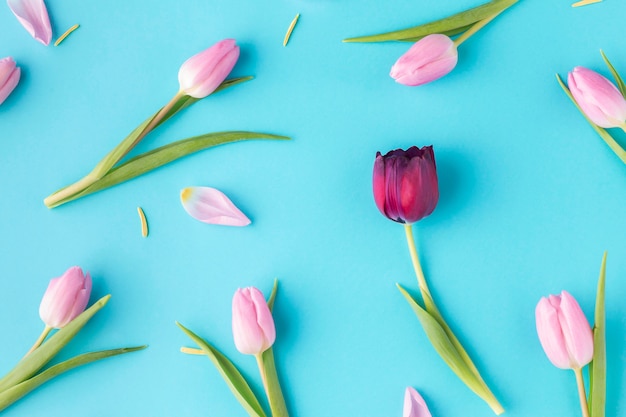 Photo top view blooming tulips