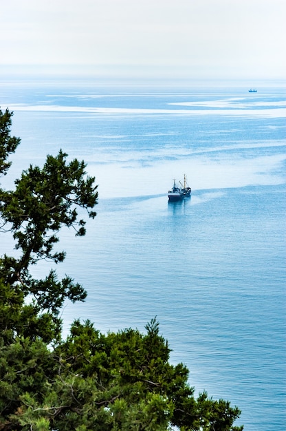 Top view of a boat sailing along the clear calm sea past the shore with flowering green trees on a warm spring day. concept of sea harbor and sea travel