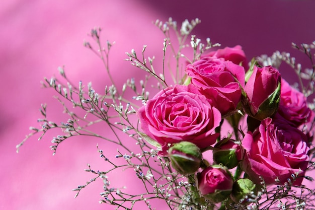 Top view of a bouquet of pink spray roses on a pink background.